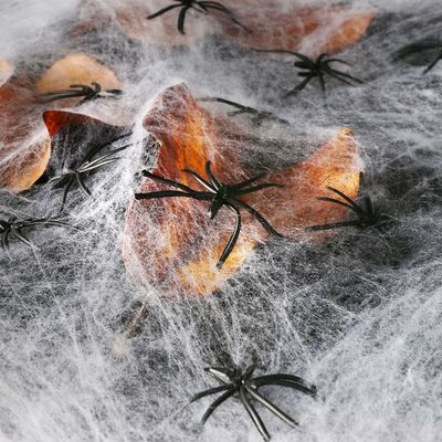 폴리에스터 스파이더 웹 면털 가닥 하로윈 파티 레지비에 대한 귀신 집 장식