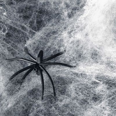 사용자 정의 할 수 있는 스트레치 할로윈 스파이더 웹 유령집의 무서운 장면
