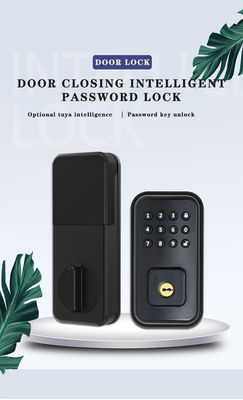 배터리로 작동하는 디지털 스마트 잠금과 TTlock Tuya WiFi 앱으로 문을 보호하세요