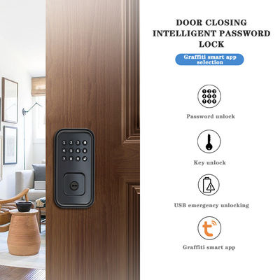 배터리로 작동하는 디지털 스마트 잠금과 TTlock Tuya WiFi 앱으로 문을 보호하세요